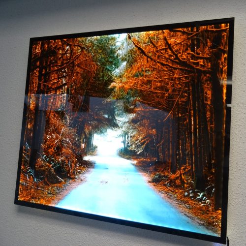 backlitacrylic-scaled